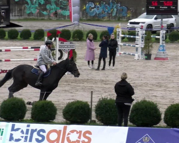 Reitturnier Basel 2024