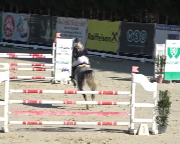 Reitturnier Preding 2024