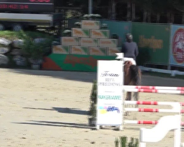 Reitturnier Preding 2024