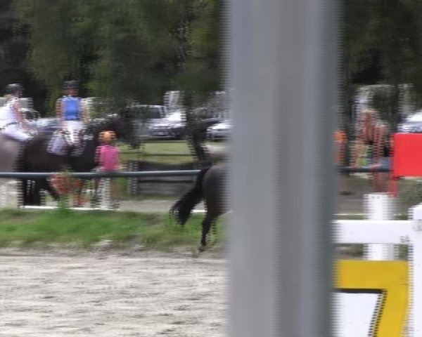 Reitturnier Herbern 2013