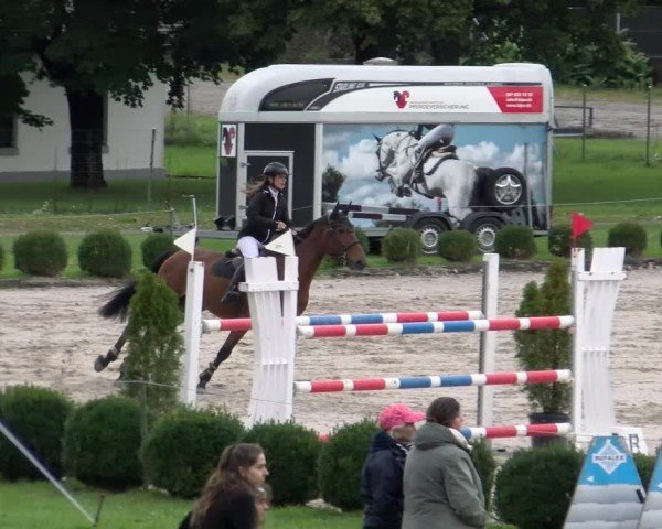 Reitturnier Basel 2024