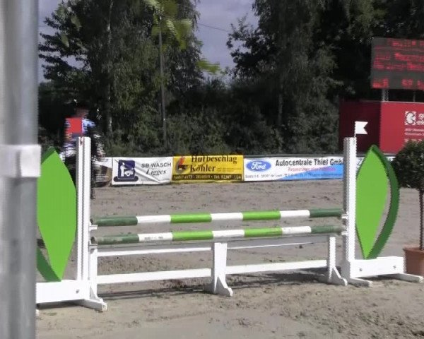 Reitturnier Herbern 2013