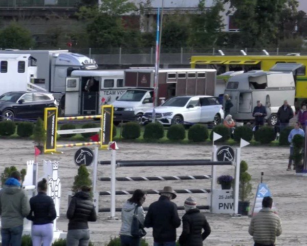 Reitturnier Basel 2024
