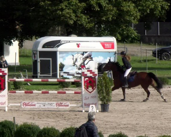 Reitturnier Basel 2024