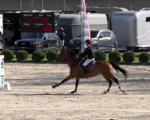 Reitturnier Basel 2024