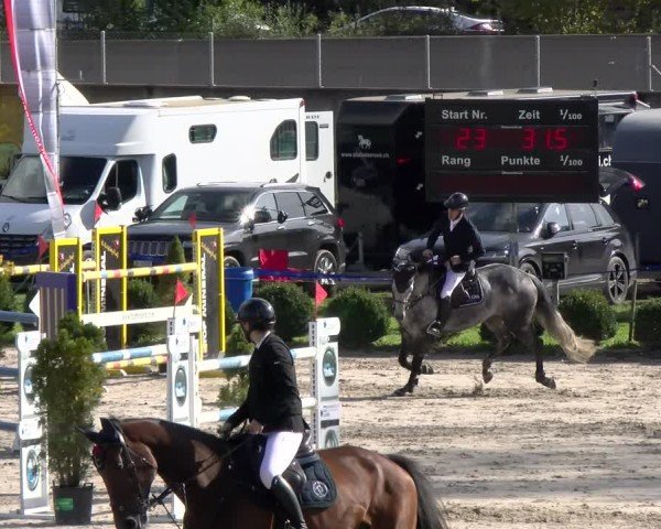 Reitturnier Basel 2024