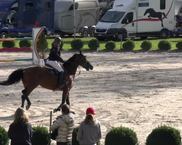 Reitturnier Basel 2024