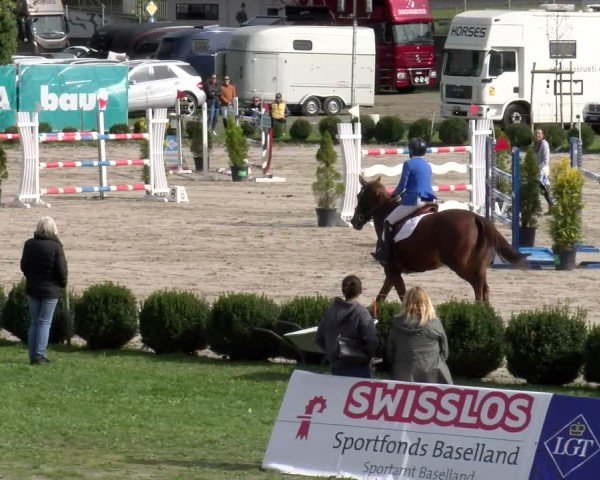 Reitturnier Basel 2024