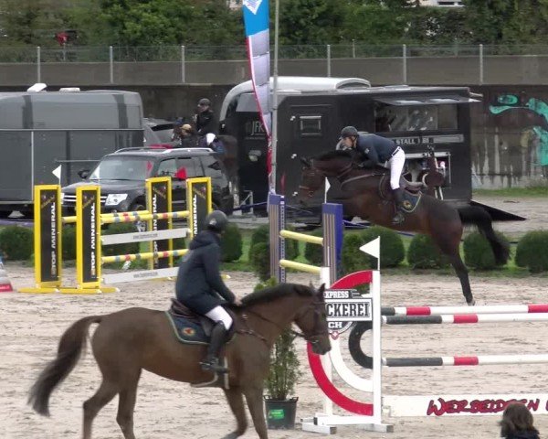 Reitturnier Basel 2024