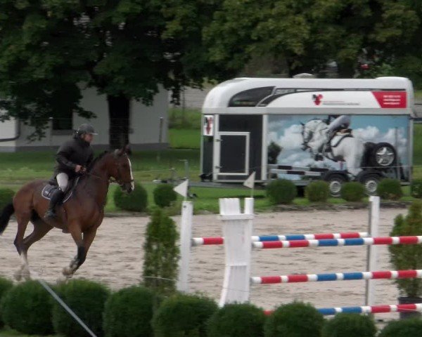 Reitturnier Basel 2024