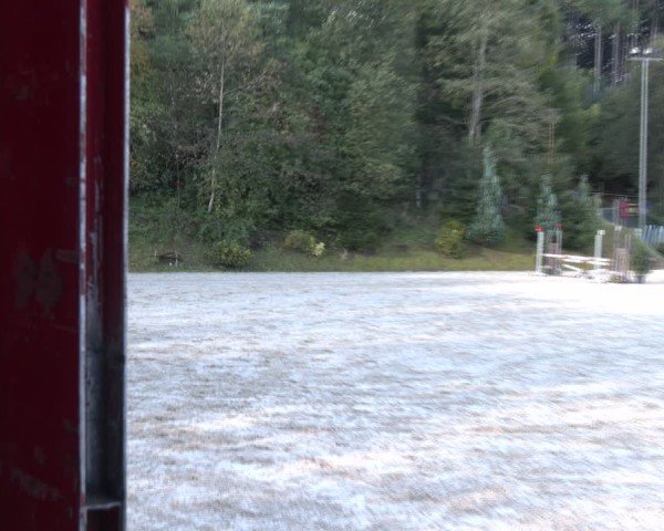 Reitturnier Igls 2024