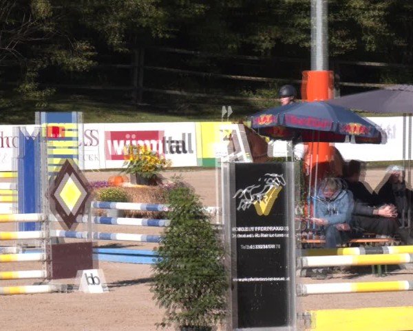 Reitturnier Igls 2024