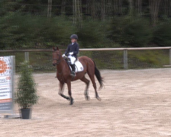 Reitturnier Igls 2024