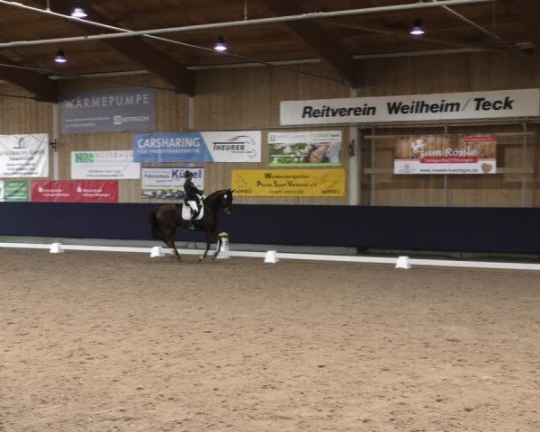 Reitturnier Weilheim/Teck 2024