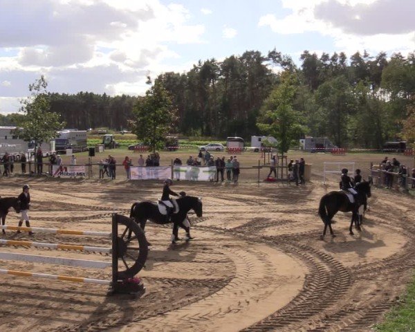 Reitturnier Baitz 2024