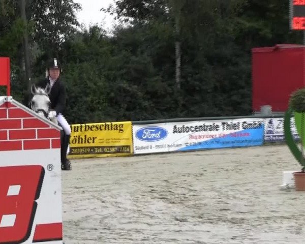 Reitturnier Herbern 2013