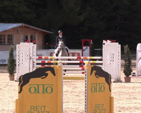 Reitturnier Ranshofen - Braunau am Inn 2024