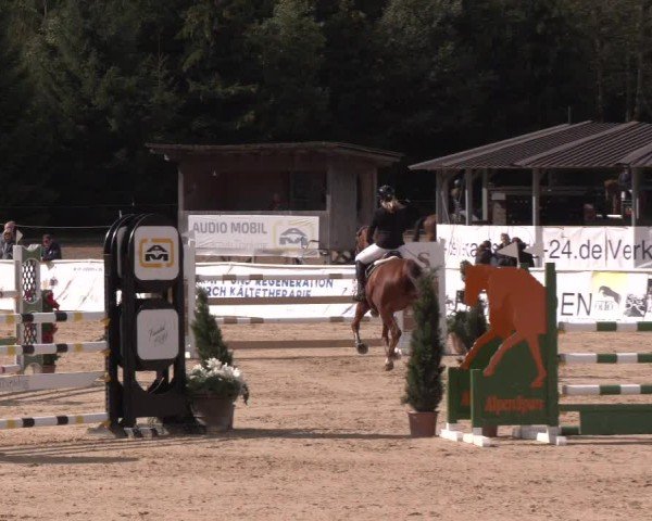 Reitturnier Ranshofen - Braunau am Inn 2024