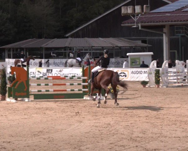 Reitturnier Ranshofen - Braunau am Inn 2024