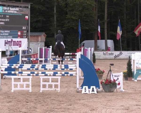 Reitturnier Ranshofen - Braunau am Inn 2024