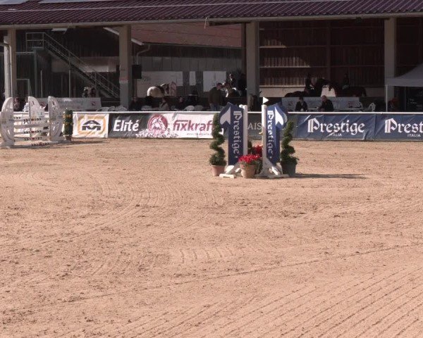 Reitturnier Ranshofen - Braunau am Inn 2024