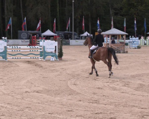 Reitturnier Ranshofen - Braunau am Inn 2024