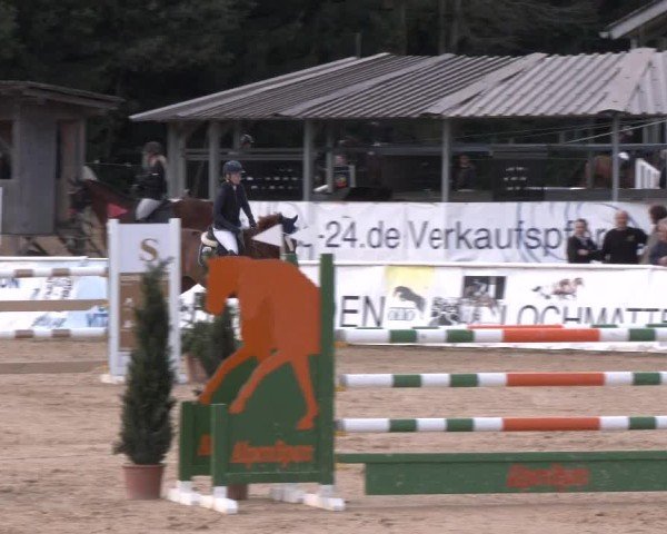 Reitturnier Ranshofen - Braunau am Inn 2024