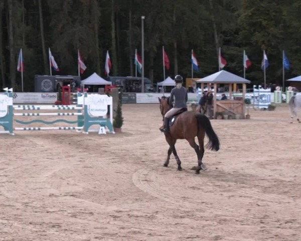 Reitturnier Ranshofen - Braunau am Inn 2024