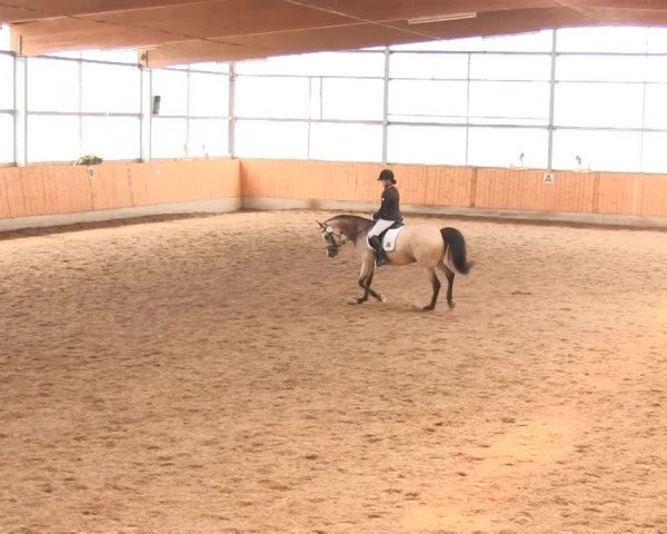Großes Reit- und Springturnier 2013 des RuF