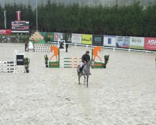 Reitturnier Preding 2024