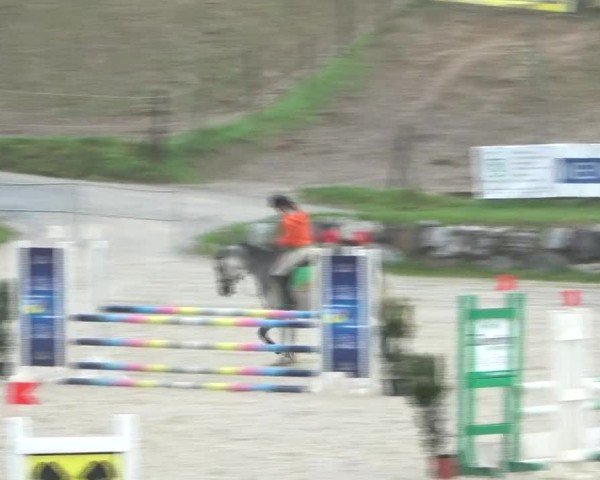 Reitturnier Preding 2024