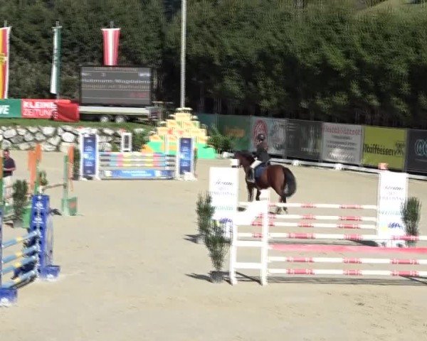 Reitturnier Preding 2024