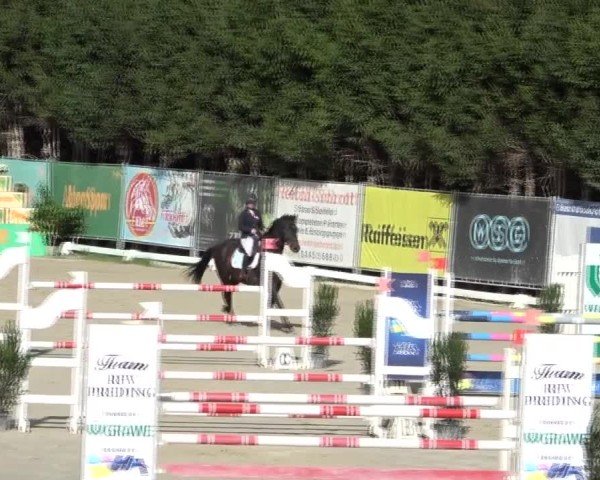 Reitturnier Preding 2024