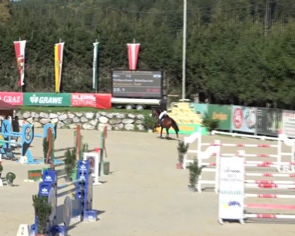 Reitturnier Preding 2024