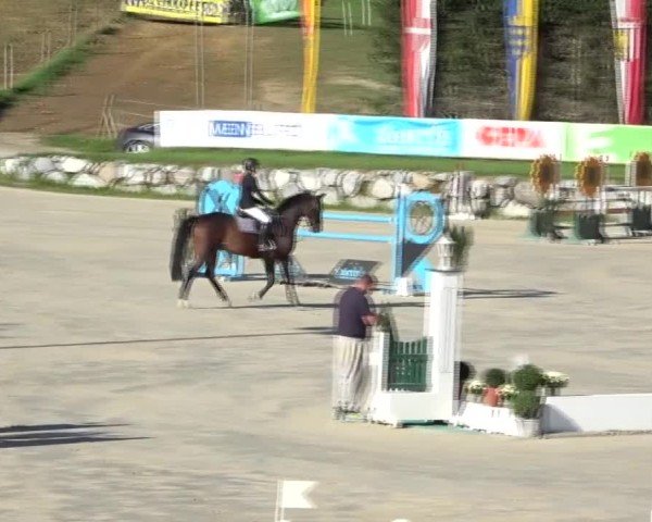 Reitturnier Preding 2024