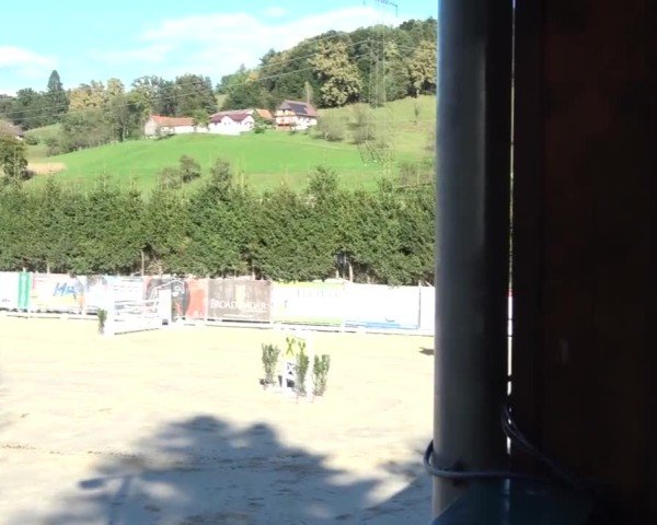 Reitturnier Preding 2024