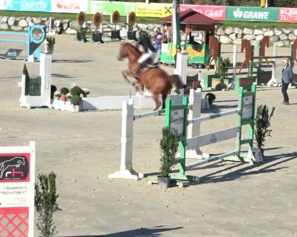 Reitturnier Preding 2024