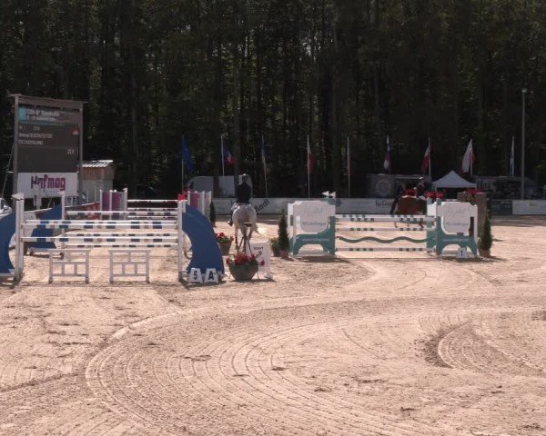 Reitturnier Ranshofen - Braunau am Inn 2024