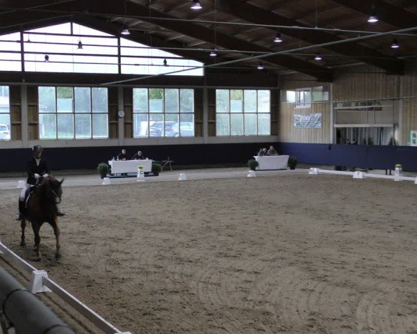 Reitturnier Weilheim/Teck 2024