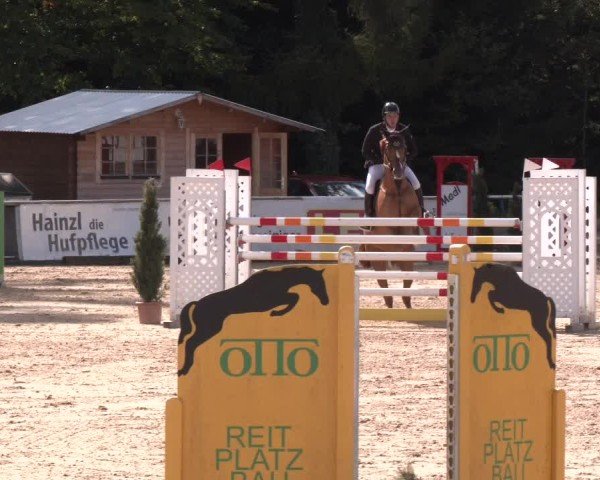 Reitturnier Ranshofen - Braunau am Inn 2024