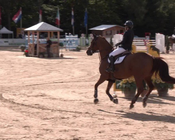 Reitturnier Ranshofen - Braunau am Inn 2024