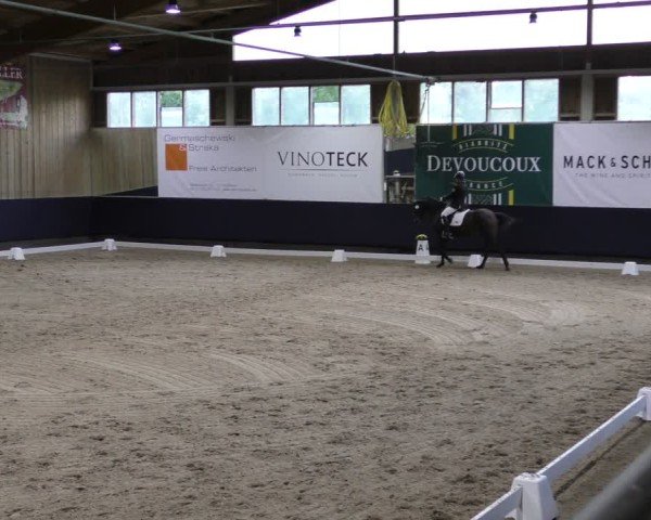 Reitturnier Weilheim/Teck 2024