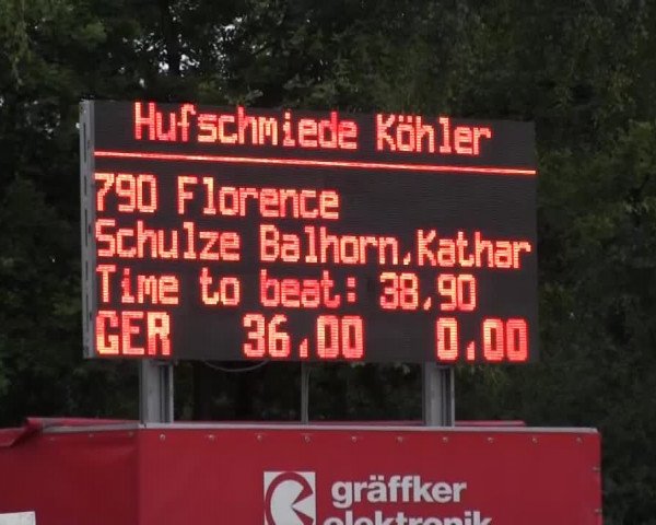 Großes Reit- und Springturnier 2013 des RuF