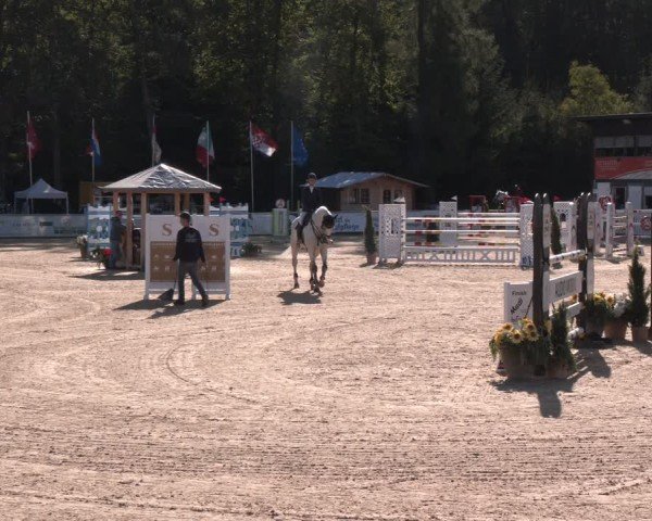 Reitturnier Ranshofen - Braunau am Inn 2024