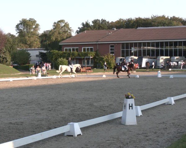 Reitturnier Langenfeld - Gut Langfort 2024