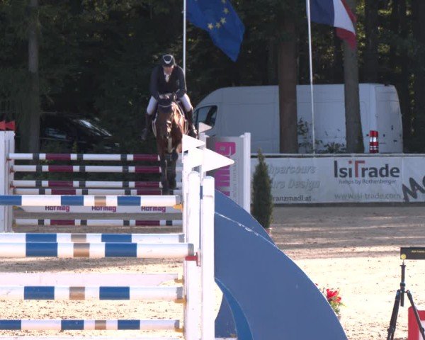 Reitturnier Ranshofen - Braunau am Inn 2024