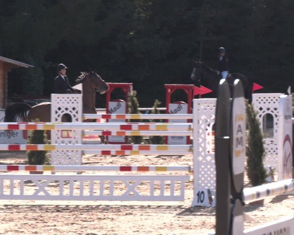 Reitturnier Ranshofen - Braunau am Inn 2024