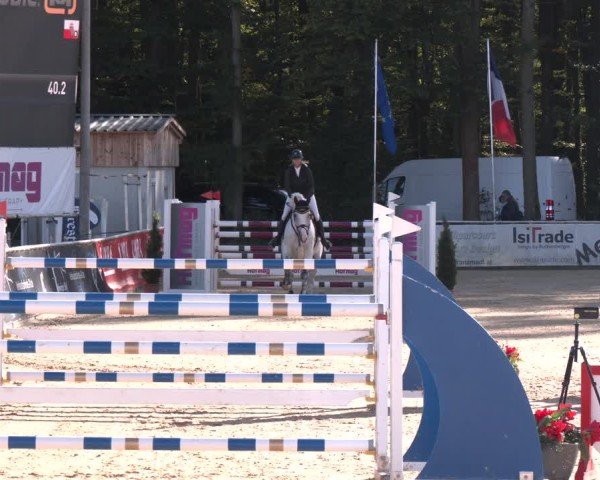 Reitturnier Ranshofen - Braunau am Inn 2024