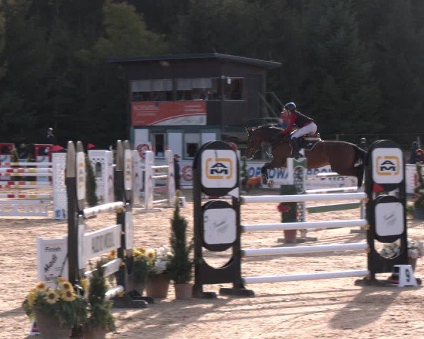 Reitturnier Ranshofen - Braunau am Inn 2024
