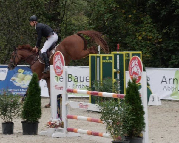 Reitturnier Karlsfeld/Obb. 2024
